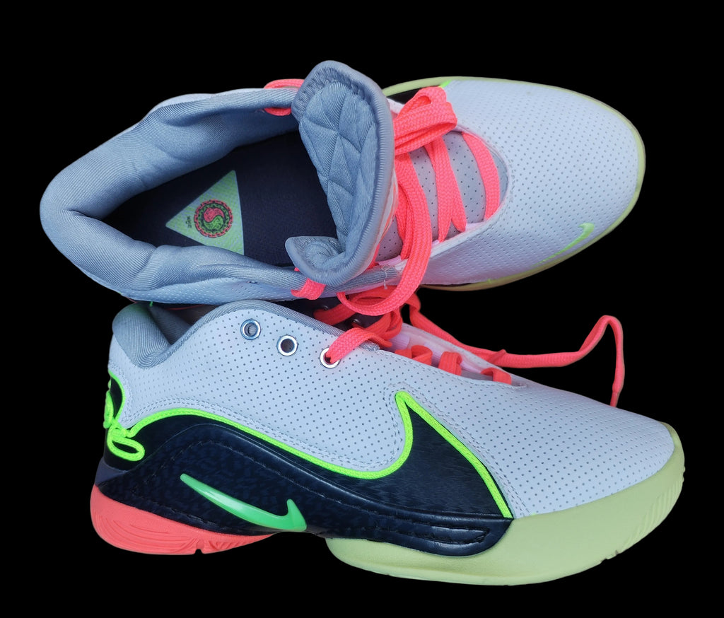 Nike LeBron XXII Crown Jewel vista lateral y superior
